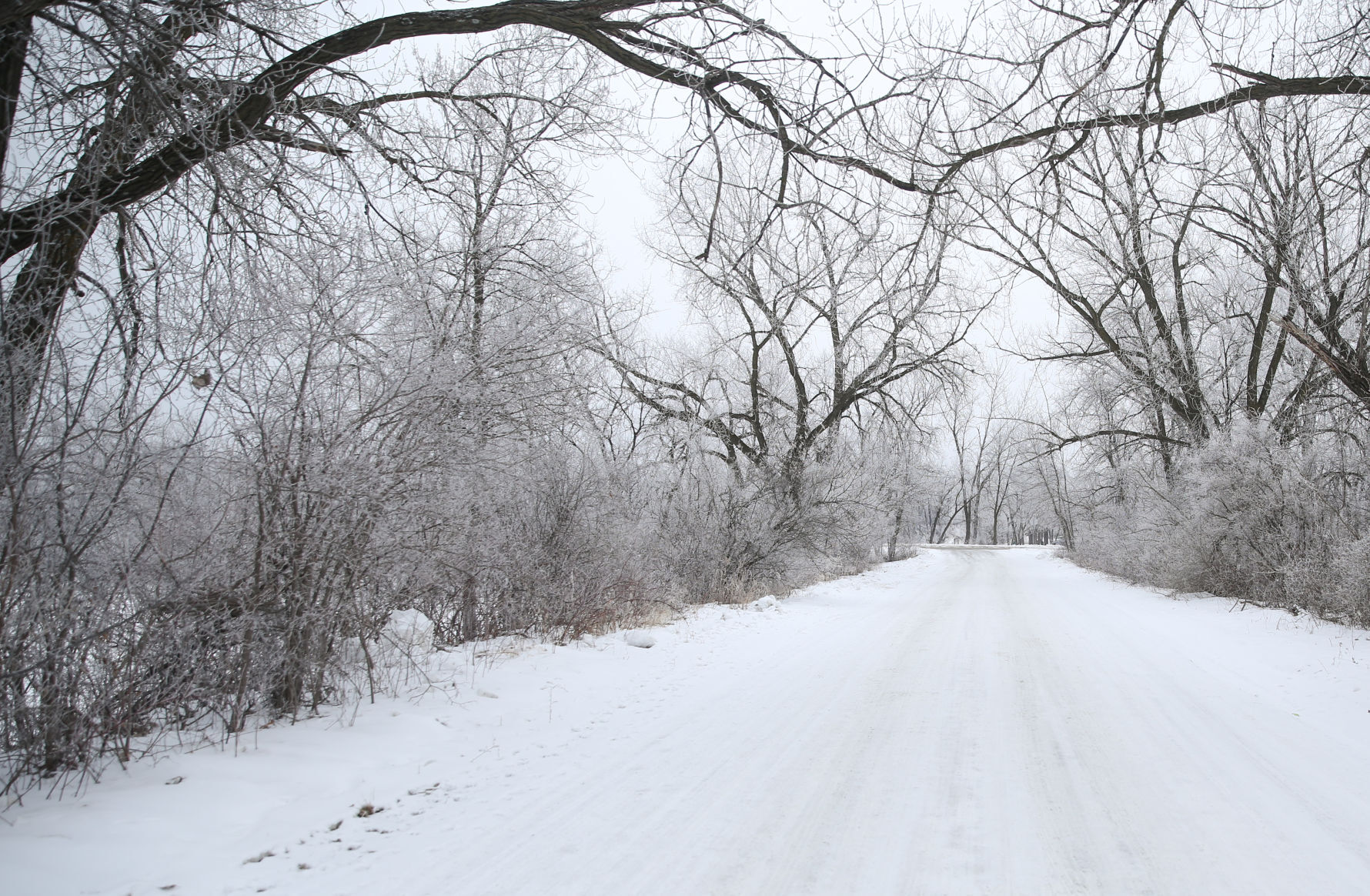 Frosty day - Feb. 2, 2020-14.jpg